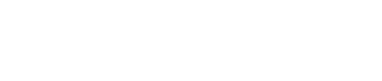 Logo DataRank Branco